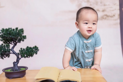 铜仁可爱的企鹅宝宝